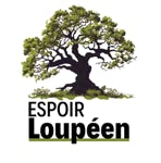 Elections municipales 2026
