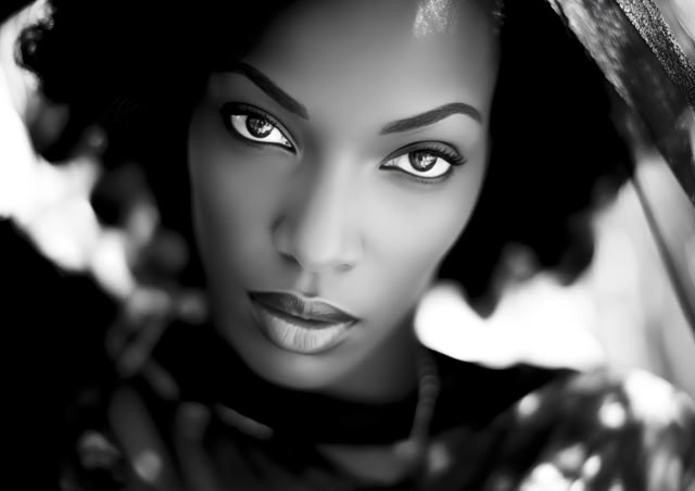 fusion art et technologie